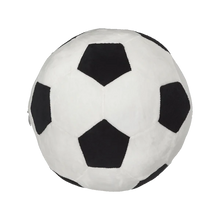 Load image into Gallery viewer, Sports Ball Collection