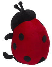 Load image into Gallery viewer, Landy Ladybug Buddy