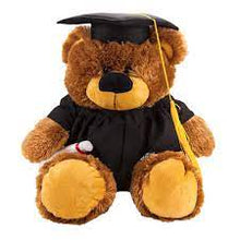 Load image into Gallery viewer, Bucky Grad Bear
